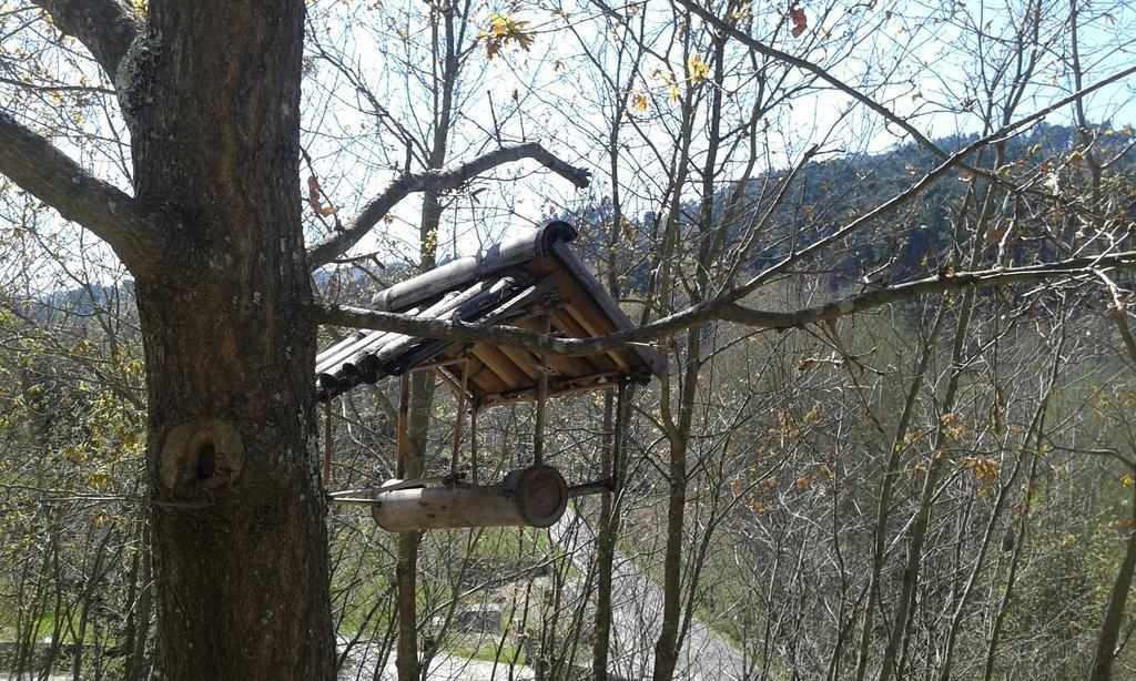 Hotel Eco Camping Juncal Marco de Canavezes Exterior foto